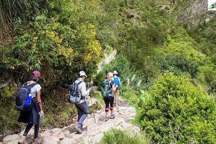 Combo: Entrance to Machupicchu +Guide in Machupicchu for 2 hours