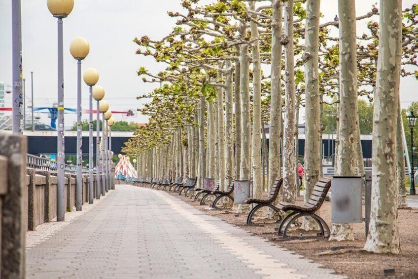 Photogenic Dusseldorf with a Local