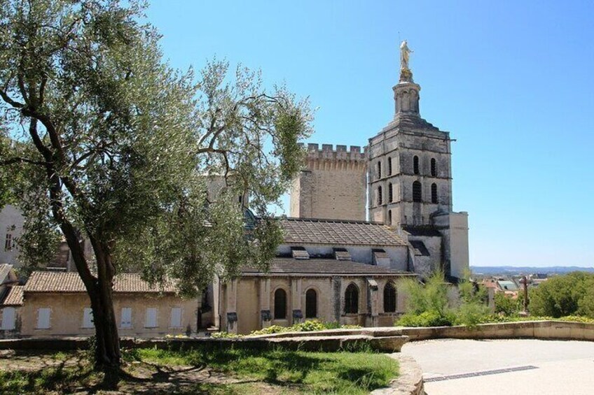 Guided tour of Avignon