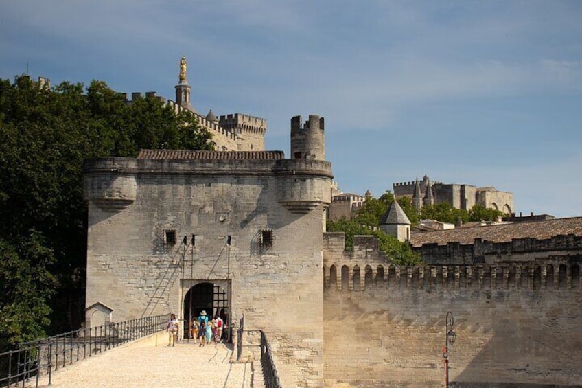 Guided tour of Avignon