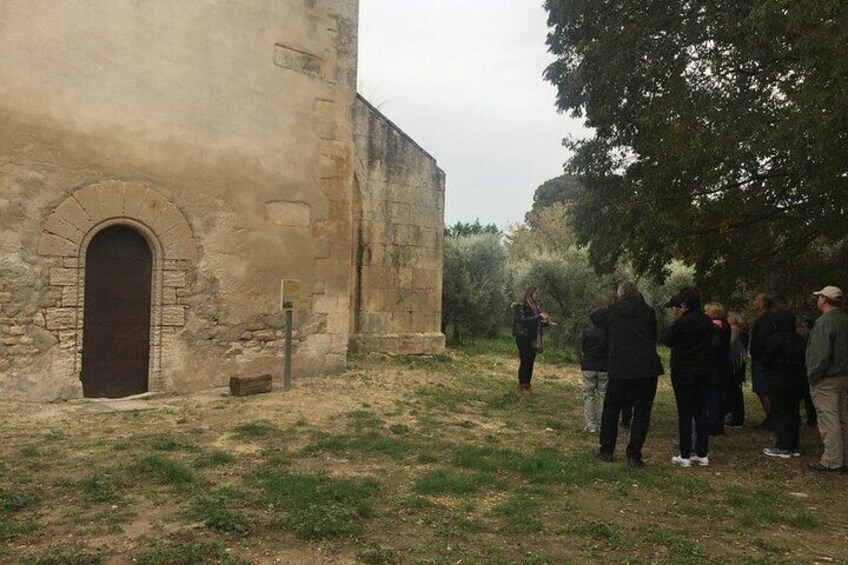 Arles and Les Baux-de-Provence Private Tour