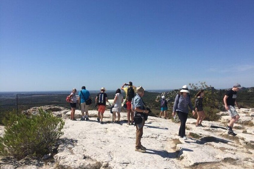 Arles and Les Baux-de-Provence Private Tour