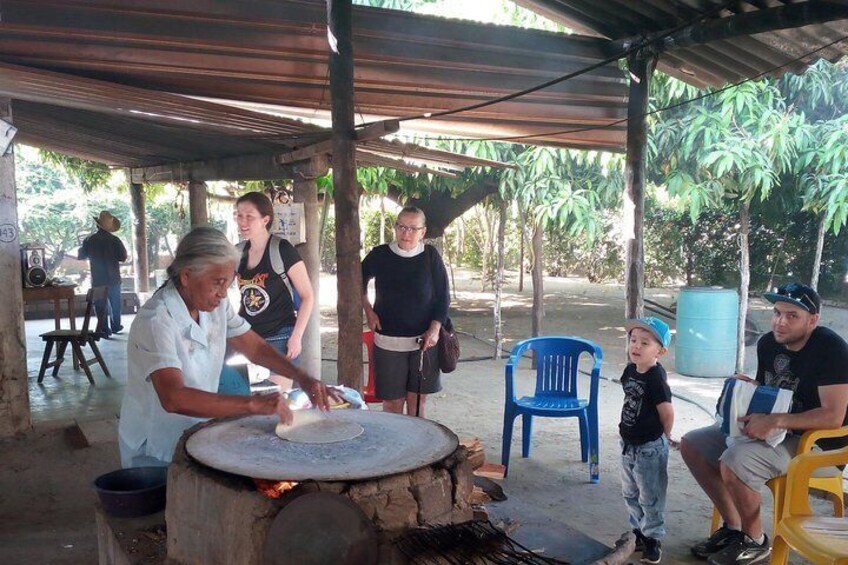 Gastronomy and indigenous herbalism