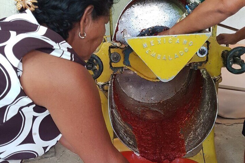 Cooking lessons of traditional Mole.
