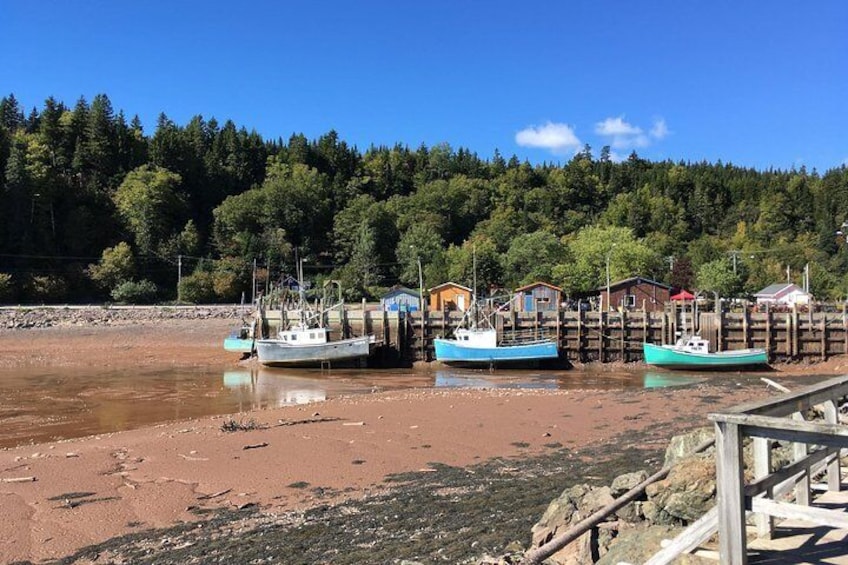 Shore Tours