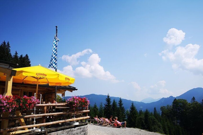 Views from the top of the alps, an optional stop on tour