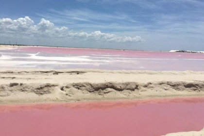 Tour Las Coloradas and Rio Lagartos