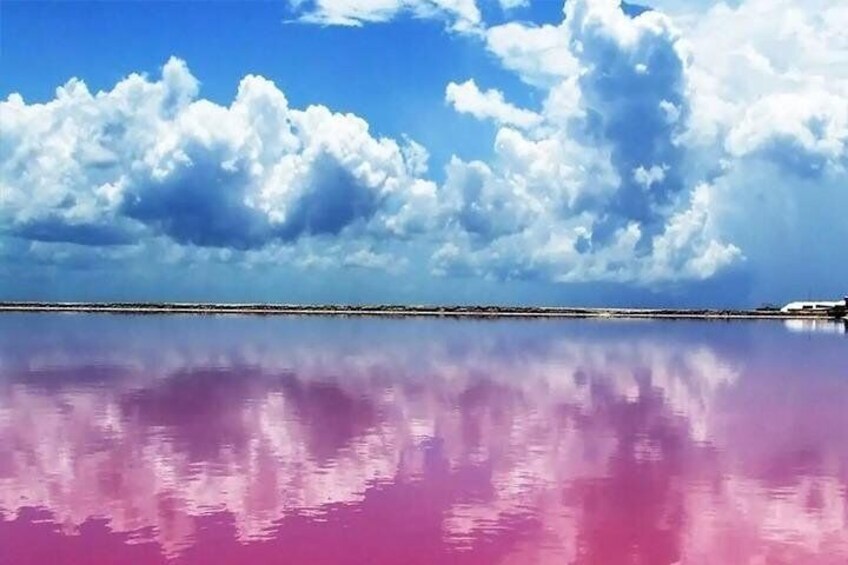 Las Coloradas pink waters