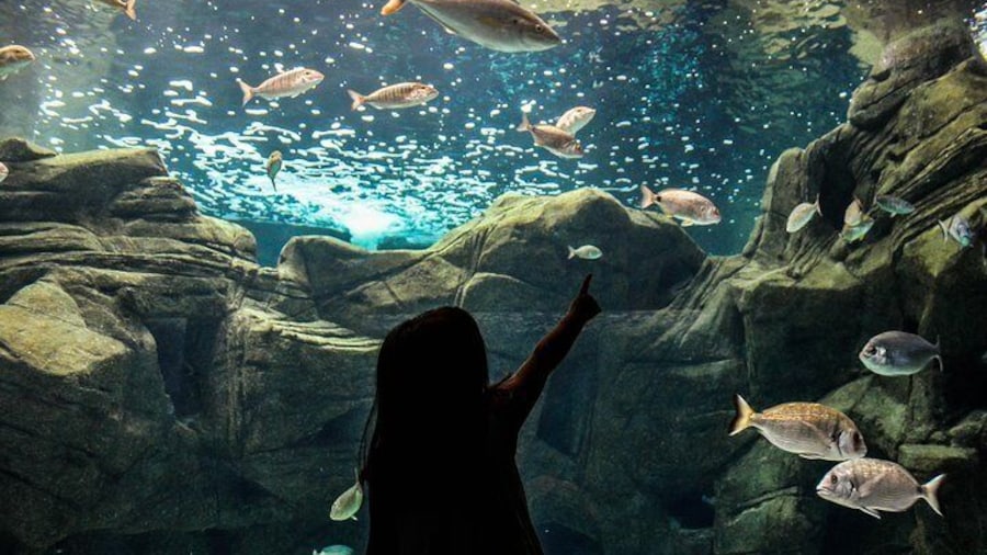 CRETAquarium Entrance Ticket in Crete