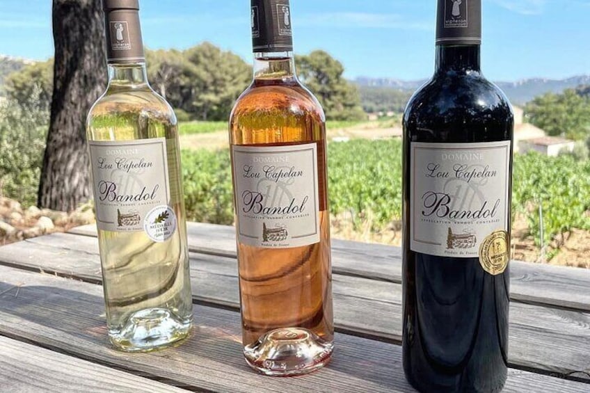 Bandol Wines