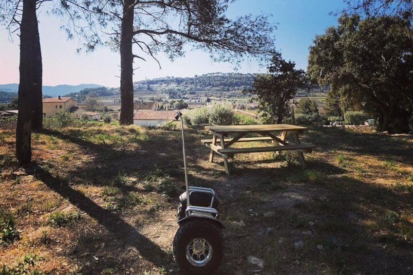 Segway in our wooded area