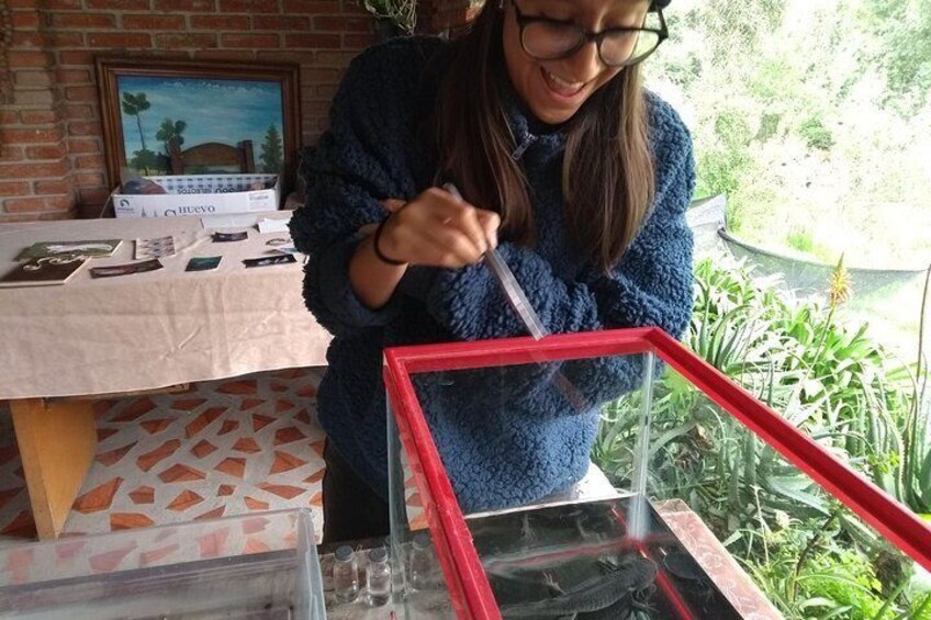 Axolotl Tour from CDMX