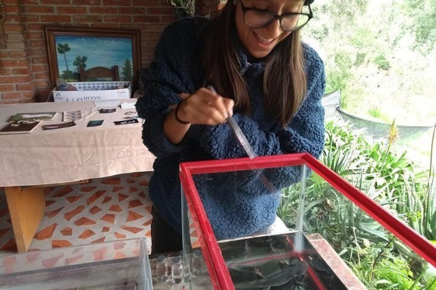 Axolotl Tour from CDMX