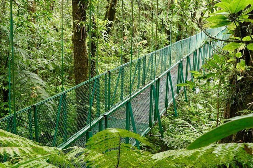 Hanging Bridges