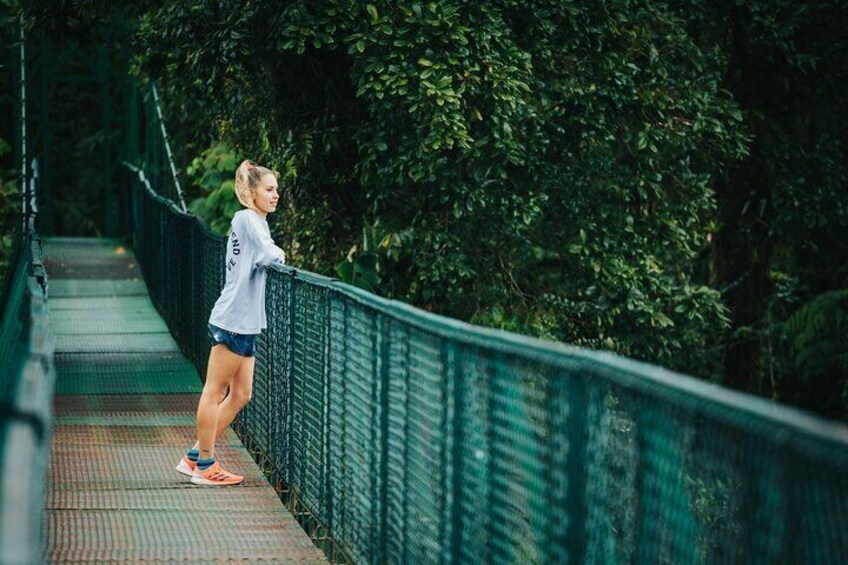 Hanging Bridges