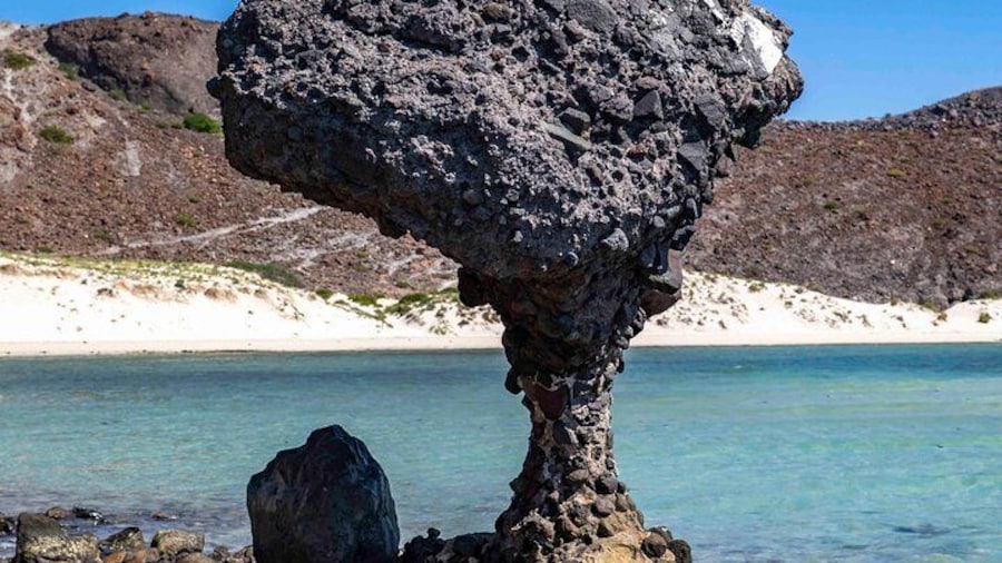 La Paz City Tour from Cabo