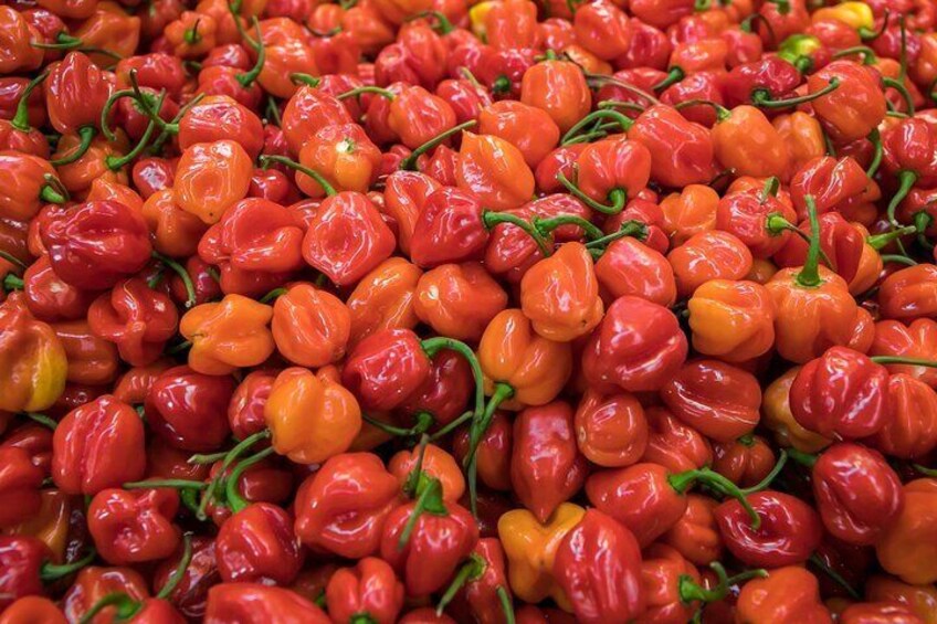 Learn about Mexican ingredients