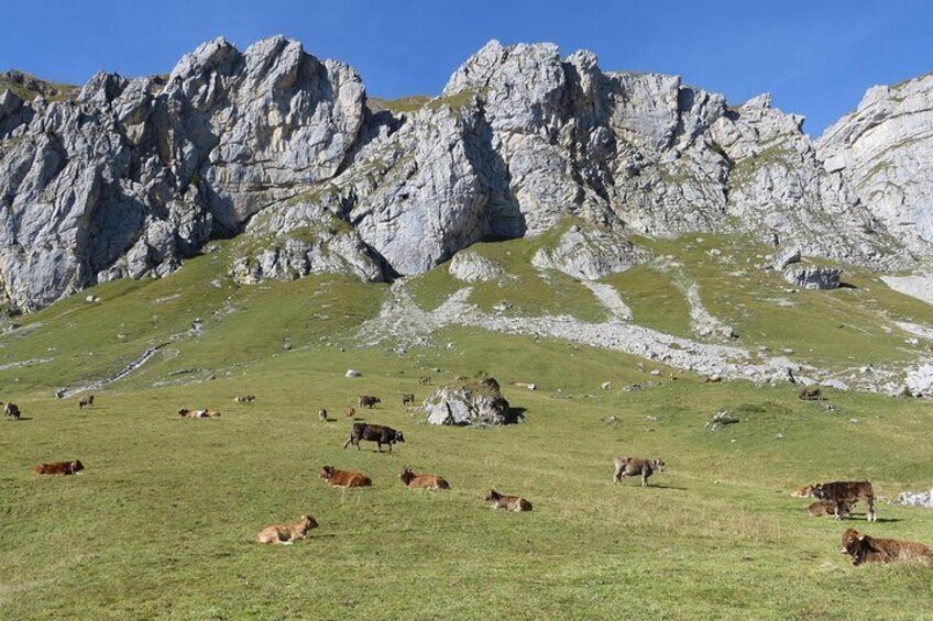 Best of the Uri Alps: A fjord-like lake, glorious peaks and sustainable tourism