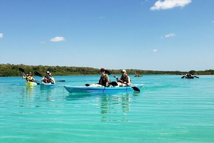 Bacalar Seven Colour Lagoon and Kayak Adventure from Costa Maya