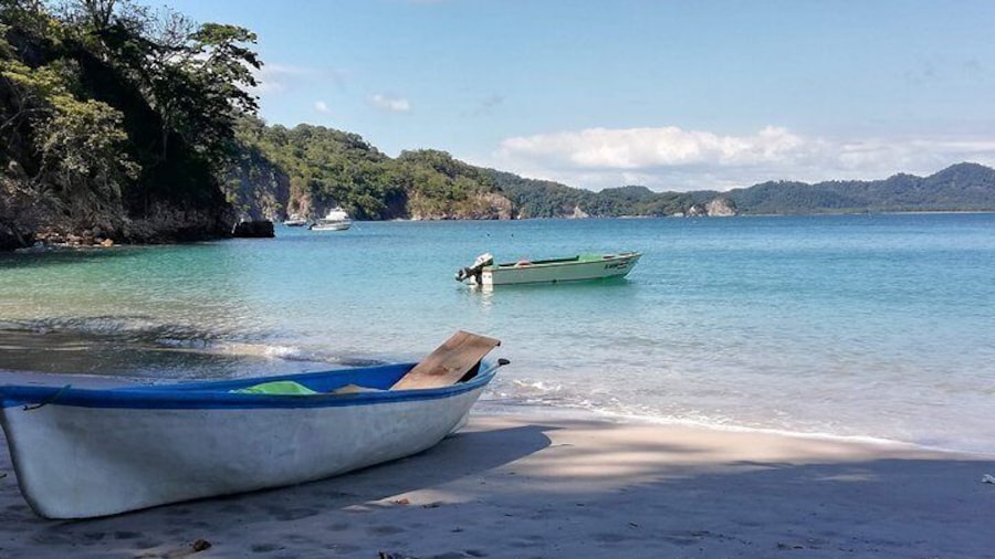 Isla Tortuga Snorkeling Tour
