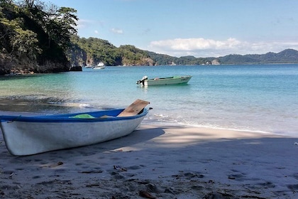 Tour de snorkel en Isla Tortuga