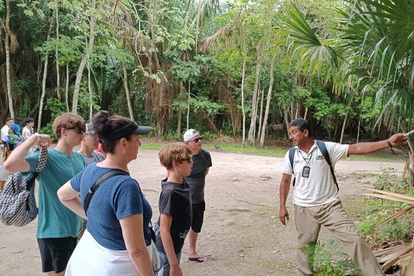 Chacchoben Mayan Ruins Excursion