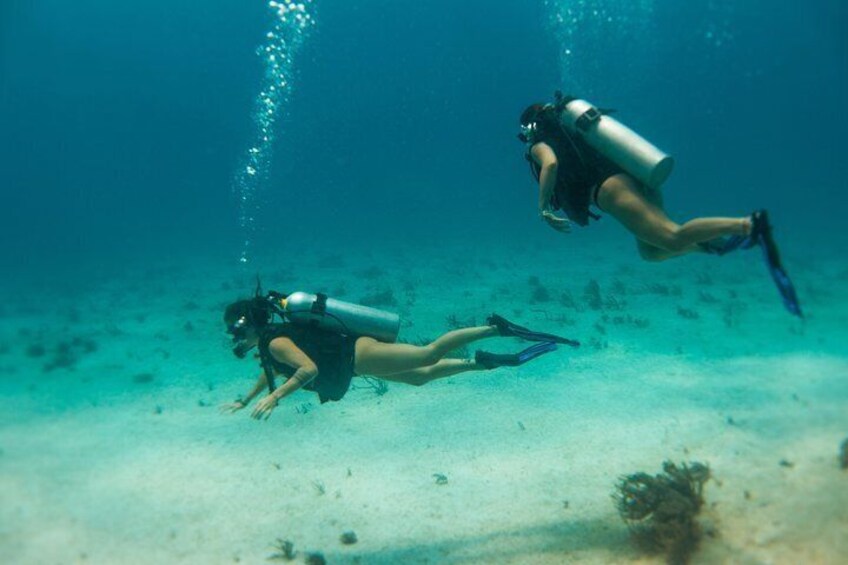 Scuba Diving in Cozumel Island