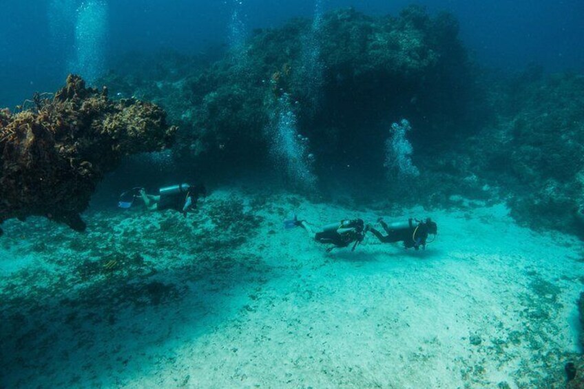 Scuba Diving in Cozumel Island