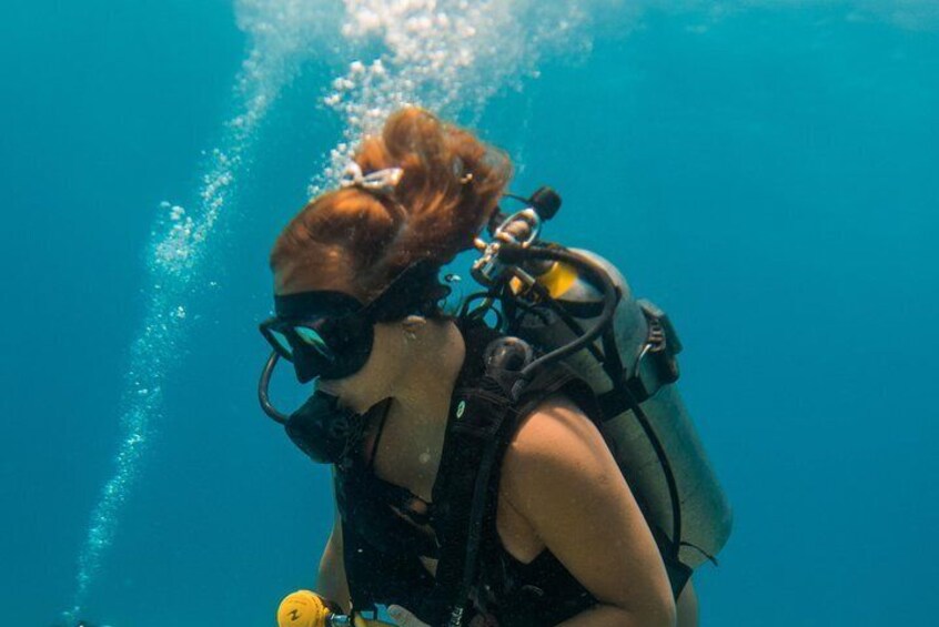 Scuba Diving in Cozumel Island