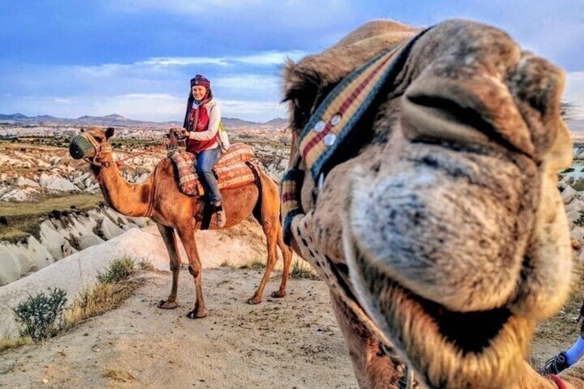 Camel Ride