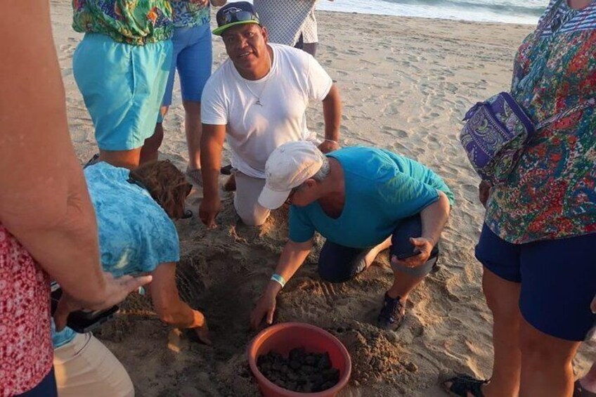 Baby Turtle Release in Coyote Escobilla Beach