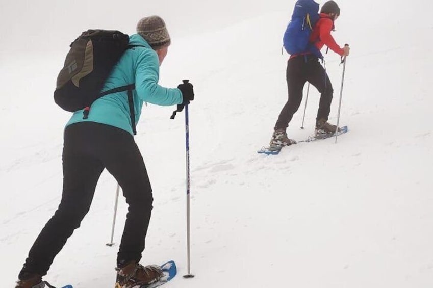 SnowShoe Walking Tour in Poiana Brasov