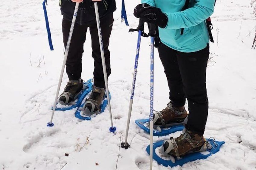 SnowShoe Walking Tour in Poiana Brasov