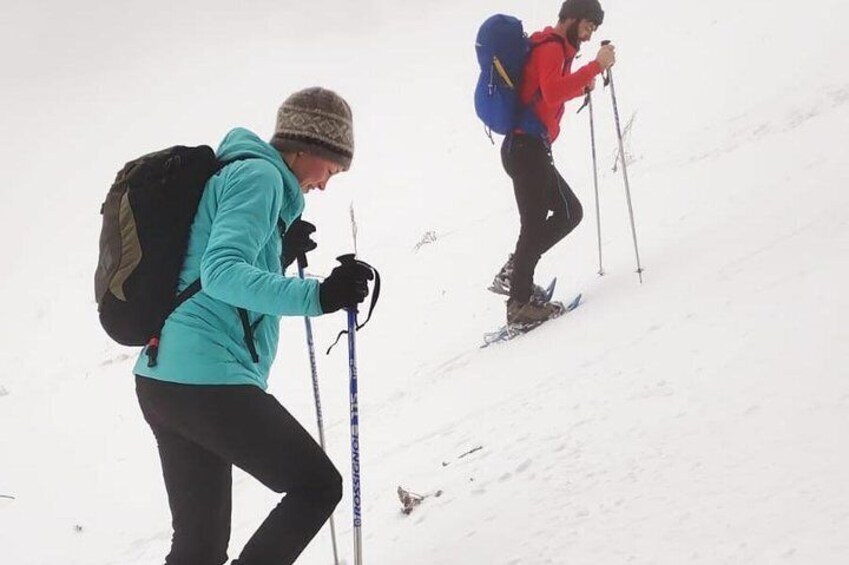 SnowShoe Walking Tour in Poiana Brasov