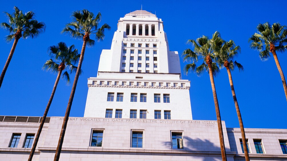 palm trees in front of Los Angelse city hall in Los Angeles