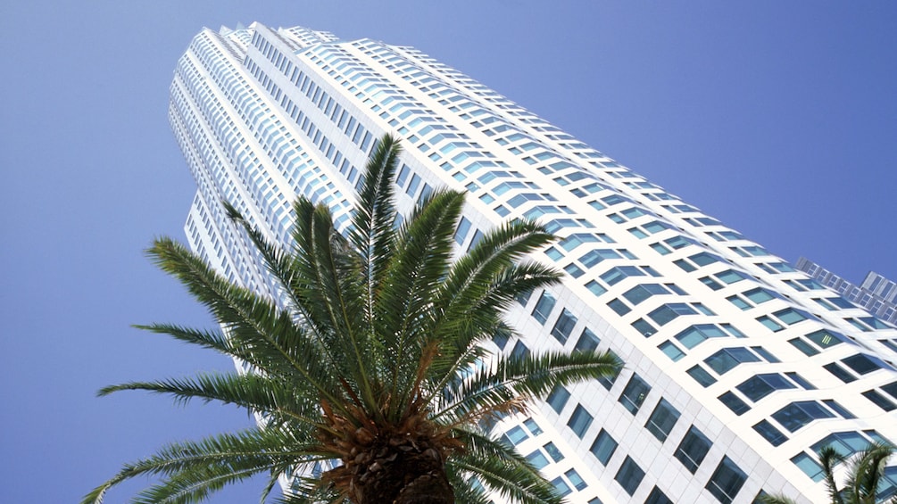 skyscrapers and palm trees near Los Angelse