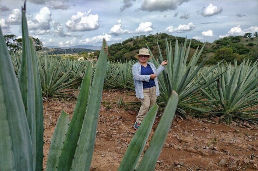 a day in the life of a Zapotec village