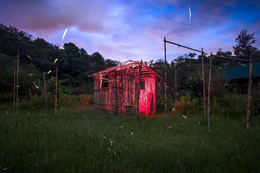 Totláli Fireflies Sanctuary