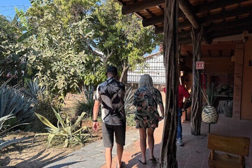 Tequila Tasting Tour in Nuevo Vallarta