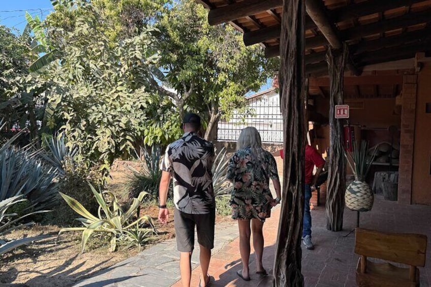 Tequila Tasting Tour in Nuevo Vallarta