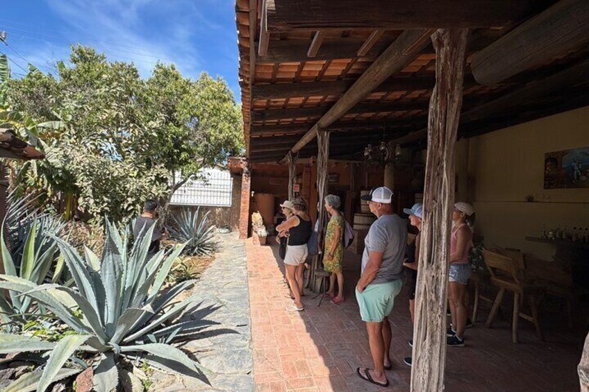 Tequila Tasting Tour in Nuevo Vallarta