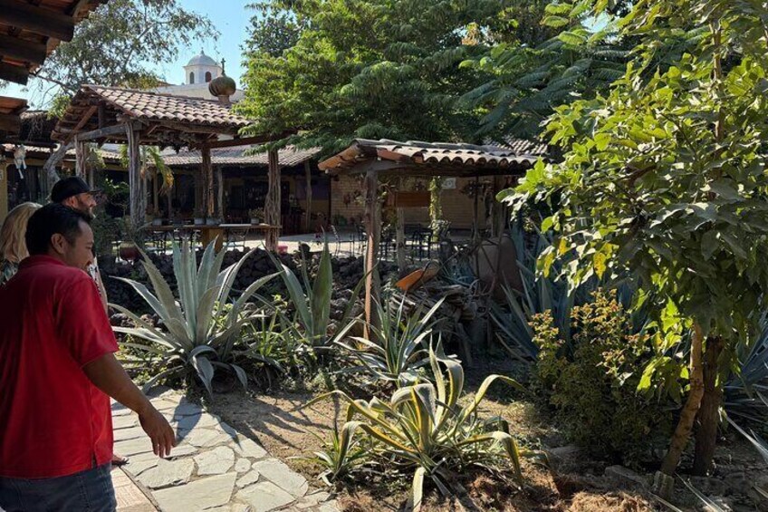 Tequila Tasting Tour in Nuevo Vallarta