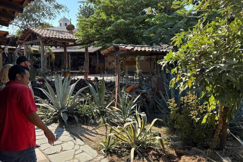 Tequila Tasting Tour in Nuevo Vallarta