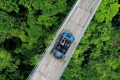 Visite du pont de Jorullo Rzr