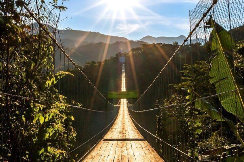 Jorullo Bridge Rzr Tour