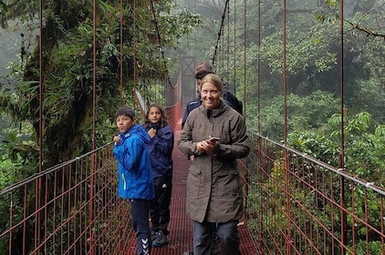 Package | Monteverde Cloud Forest + Curi-Cancha Reserve + Night Hike (Priva...
