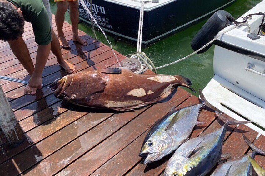 Private fishing charter Bertram 31ft 6 pax max if you don't fish you don't pay