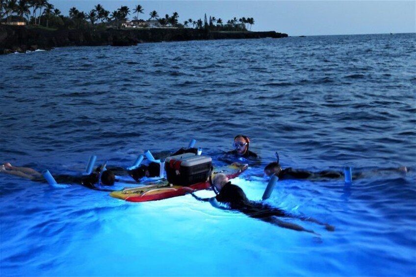 Manta Ray Night Snorkel in Kailua-Kona