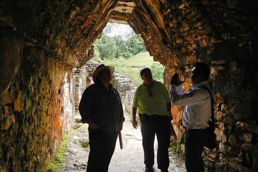 Tour to Palenque and Cascada de Misol Ha.