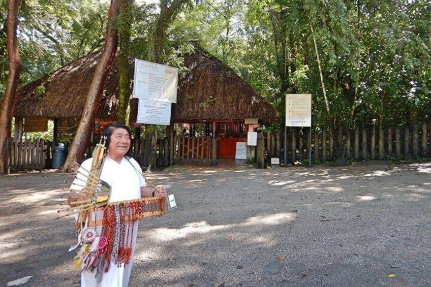 Tour to Palenque and Cascada de Misol Ha.